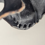 Fucalophrys