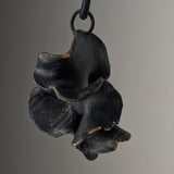 Fucalophrys