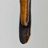 Halimaris