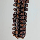 Turbinae