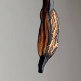 Sargyx
